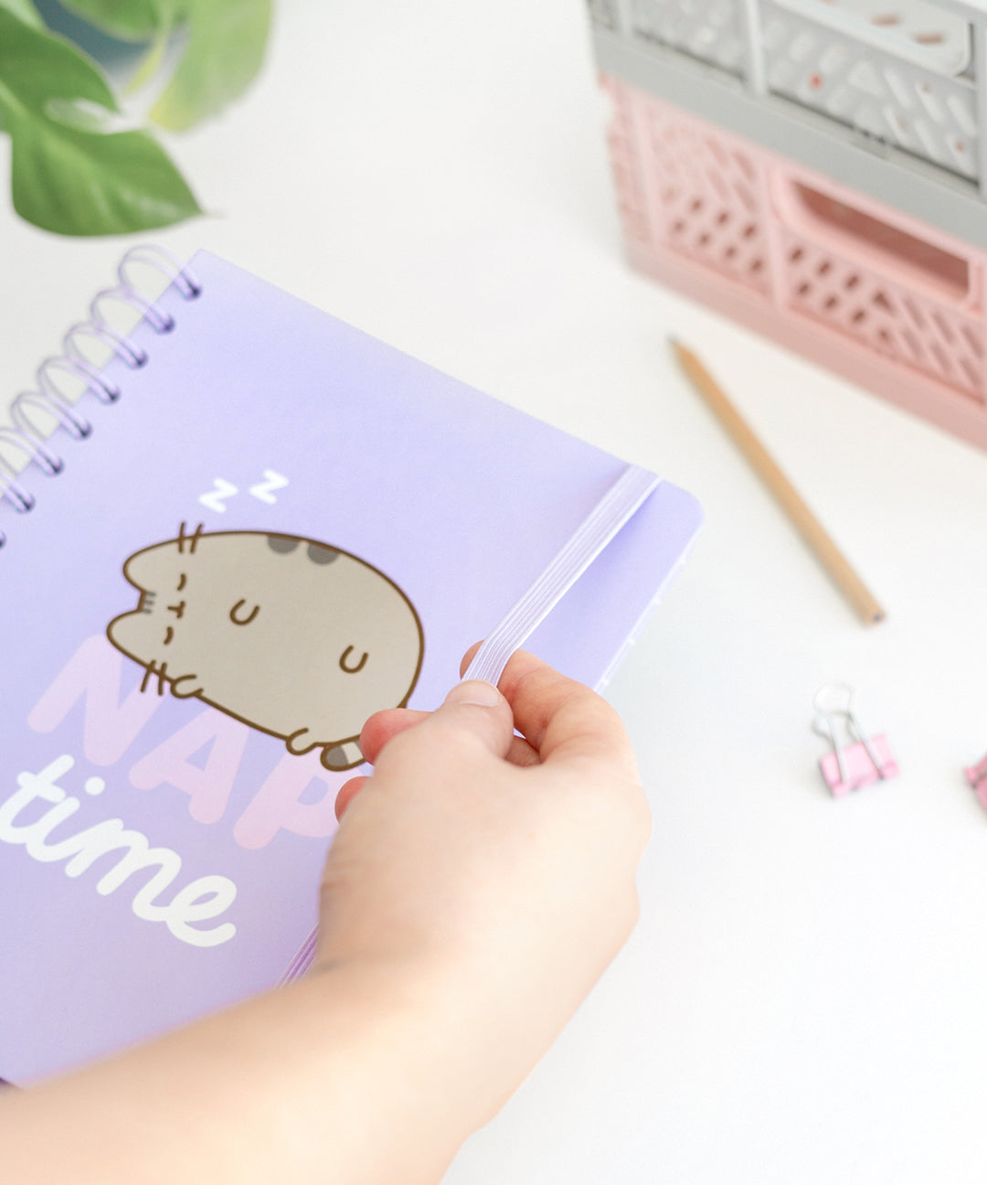 Pusheen Naptime Notebook